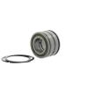 Foto Rodamientos de rodillos cilíndricos SL045011 -PP-2NR 10077002