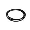 Foto Raw-edge cogged V-belts 3VX560 10132422