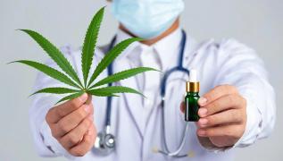 Marihuana medicinal: ¿Cuáles son las propiedades medicinales de los cannabinoides?