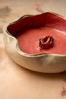 El cuenco de cerámica «Terra Vitae»