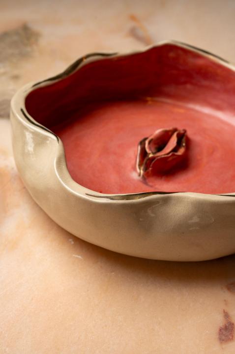 Foto El cuenco de cerámica «Terra Vitae»