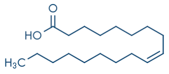 The K232 and K270 indices play a key role in assessing the quality of olive oil.
