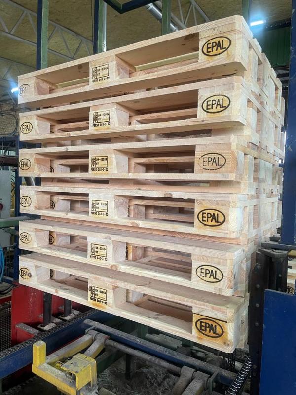Palés de Plástico: Innovación, Sostenibilidad y Eficiencia en el Manejo Logístico