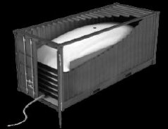 Flexi Tank of 21.000 kg