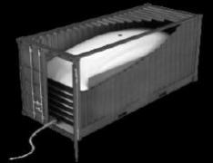 Flexi Tank of 21.000 kg
