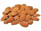 Almond Suppliers in Valencia