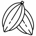 Cocoa
