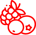 Fruit concentration (Origin of Ukraine)