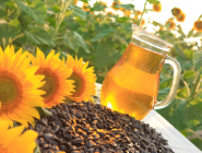 Sunflower oil