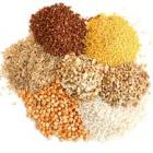 Feed Materials