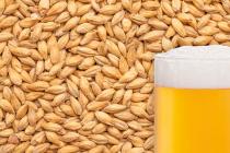 Light  barley malt (origin Ukraine)