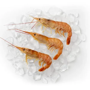 Southern Prawn [Prawn]