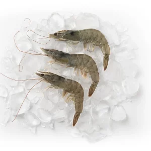 Whole Vannamei Shrimp [Prawn]
