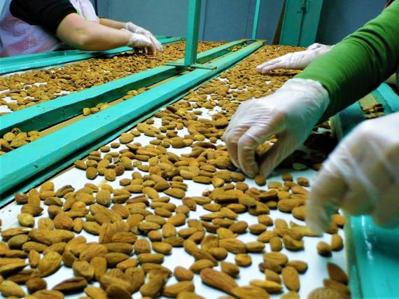 Foto Syrové mandle s kůrou