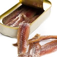 Cantabrian Anchovy