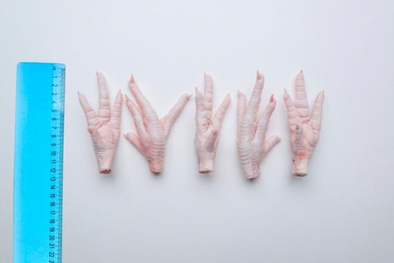 Foto Chicken feet