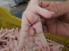 Foto Chicken feet