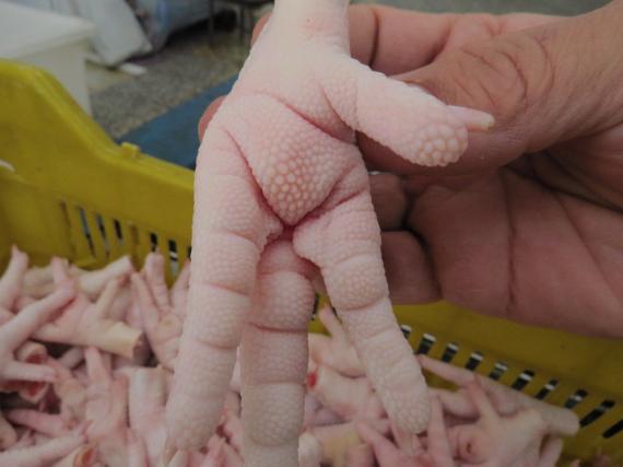 Foto Chicken feet