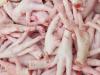Foto Chicken feet