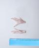 Foto Chicken feet