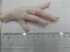 Foto Chicken feet