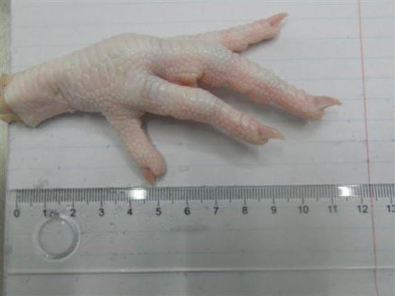 Foto Chicken feet