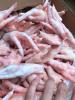 Foto Chicken feet