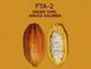 Foto The cocoa of the  Araucano Tame  variety refers