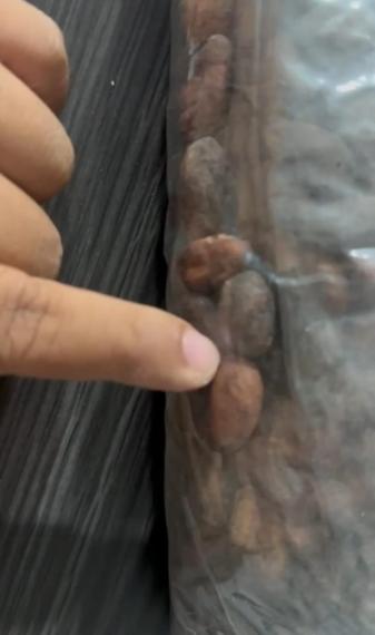 Foto Cocoa Export Quality • Cundinamarca