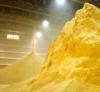 Foto Corn distillers grains DDGS