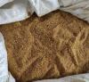 Foto Corn distillers grains DDGS