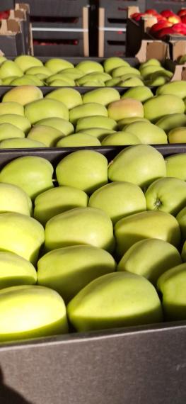 Foto Golden Delicious