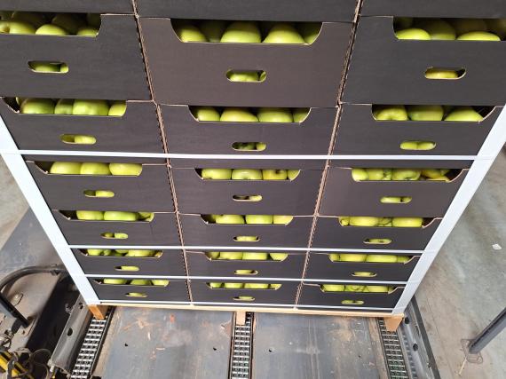 Foto Golden Delicious