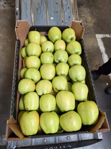 Foto Golden Delicious