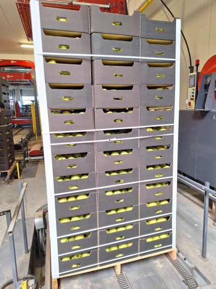 Foto Golden Delicious