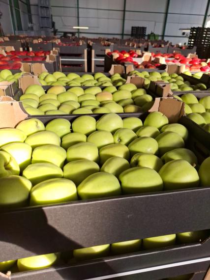 Foto Golden Delicious