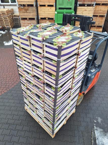 Foto Golden Delicious