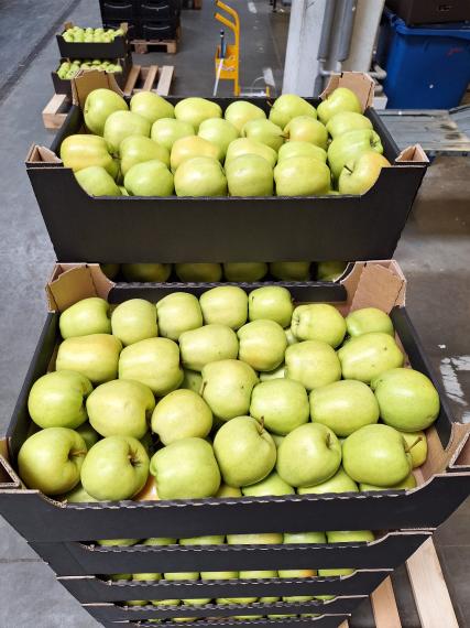 Foto Golden Delicious