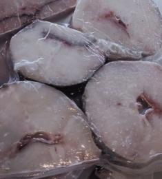 Hake (merluccius merluccius)