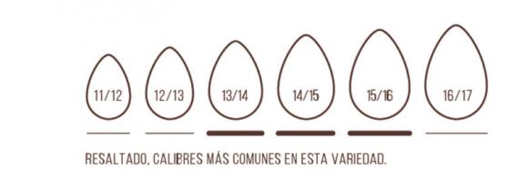 Foto Mandle  GUARA  se slupkou