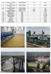 Light  barley malt (origin Ukraine)