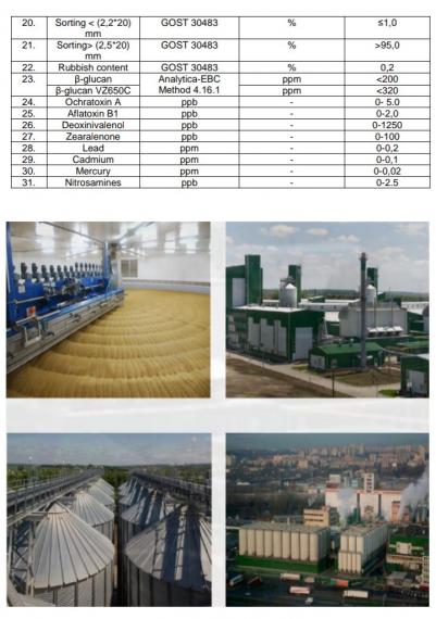Foto Light  barley malt (origin Ukraine)