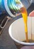 Foto Rapeseed oil | Fresh