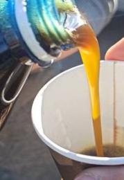 Rapeseed oil | Fresh