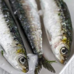 Canned of Galician sardines in olive oil 150 gr / 150 GR CAN