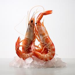 IQF Whole Vannamei Shrimp [Prawn]