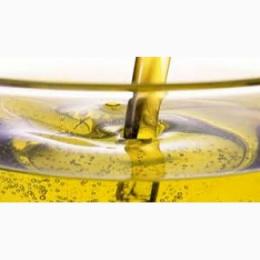 Sunflower oil • 500 tons / Month