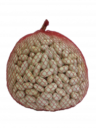 Long White Bean