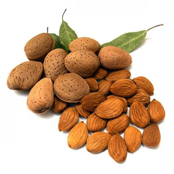 Foto Almond • Comuna