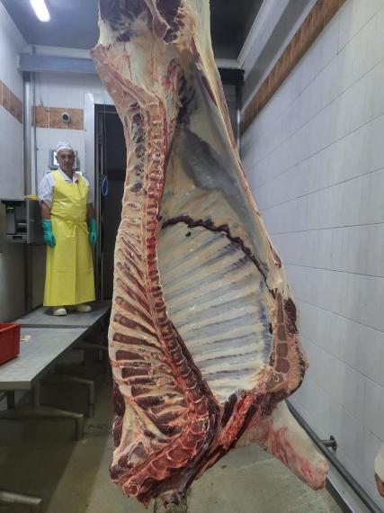 Foto Beef side
